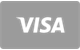 Platba kartou Visa